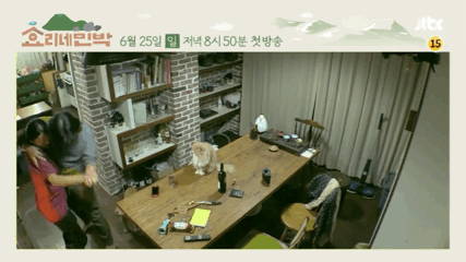 영화같은 삶을 사는 듯한 이효리 이상순 부부 | 인스티즈