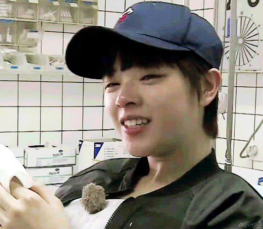 정글의 법칙 이쁘고 안쓰러웠던 정연 | 인스티즈