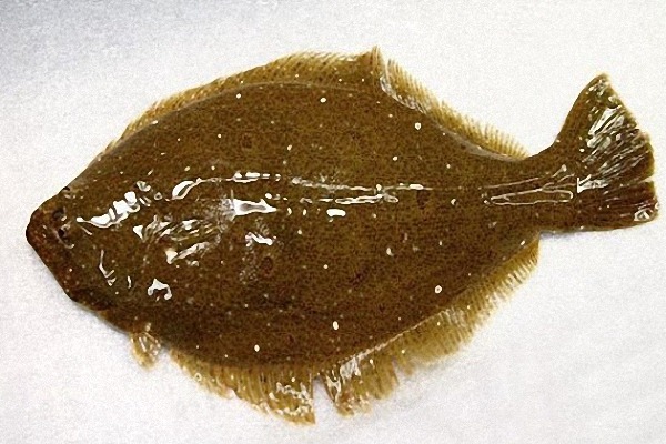 소주 안주 甲 of 甲...jpg | 인스티즈