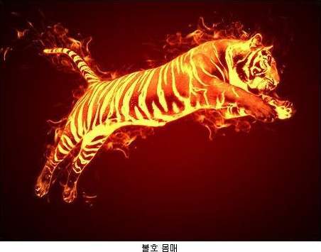 호불호갈리는 몸매.JPG | 인스티즈