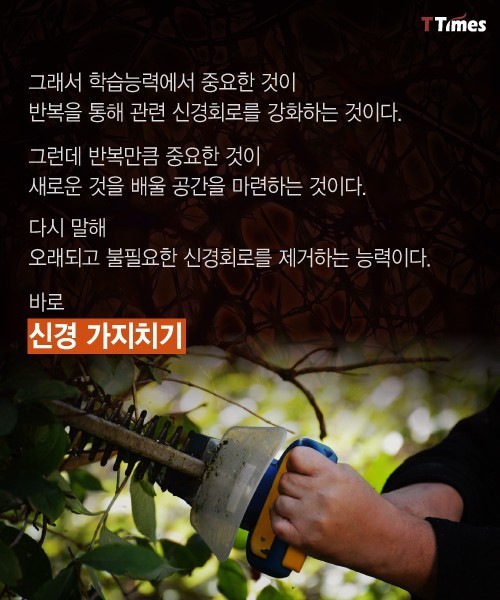 나쁜 기억들을 가지치기 하는 법 | 인스티즈