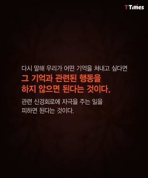 나쁜 기억들을 가지치기 하는 법 | 인스티즈