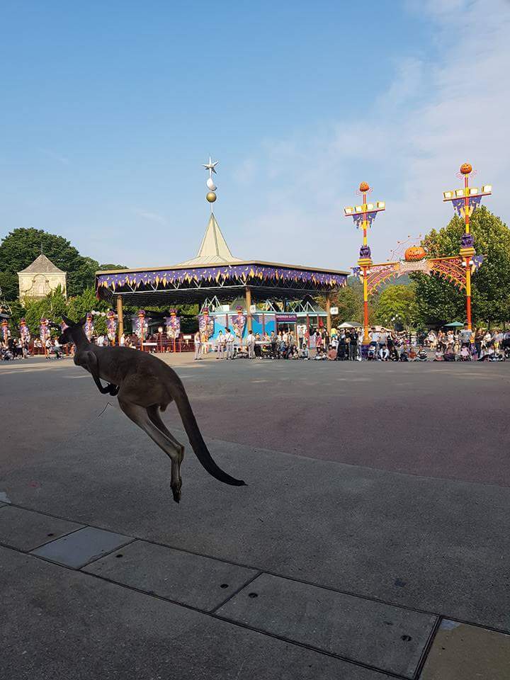 오늘자 혼돈의 에버랜드.jpg | 인스티즈