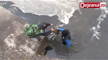 강아지를 구해주었다.gif | 인스티즈