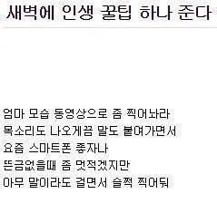 주말기념 인생꿀팁 | 인스티즈