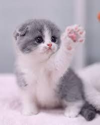 공감100%꼭있는 프사유형 | 인스티즈