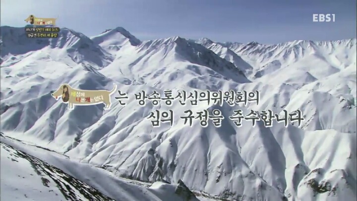 [세나개] 시도때도 없이 마운팅하고 똥을 먹는 두부의 문제 행동 고치기 -1.jpg | 인스티즈