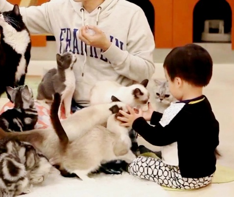 [슈퍼맨이돌아왔다] 서언이가 한없이 관대해지는 존재들ㅋㅋㅋ.JPG | 인스티즈