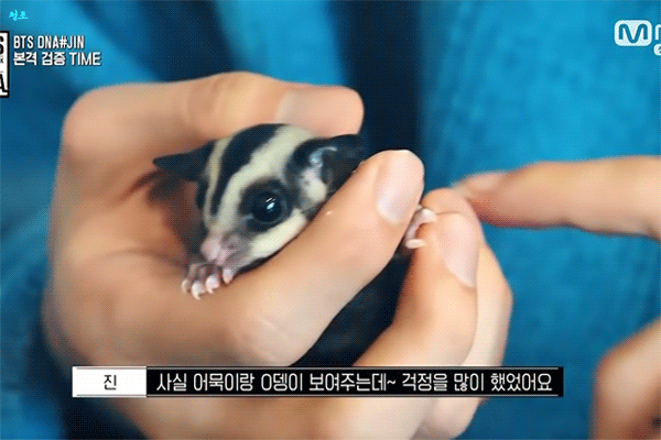 한 아이돌이 키운다는 애완동물 | 인스티즈