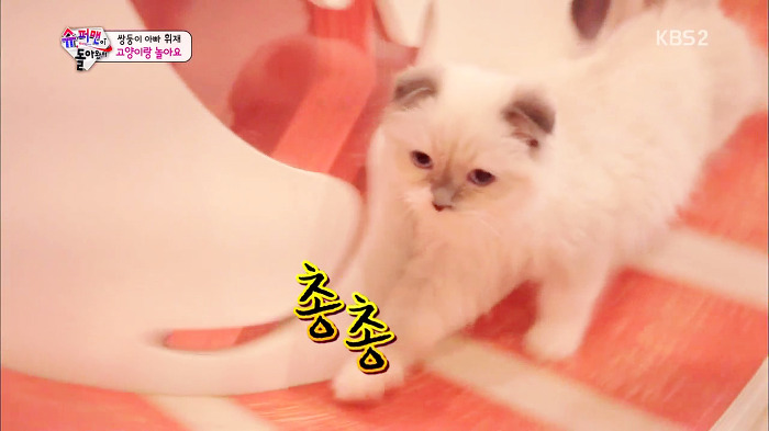 [슈퍼맨이돌아왔다] 서언이가 한없이 관대해지는 존재들ㅋㅋㅋ.JPG | 인스티즈