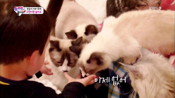 [슈퍼맨이돌아왔다] 서언이가 한없이 관대해지는 존재들ㅋㅋㅋ.JPG | 인스티즈