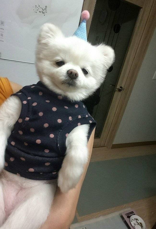 공감100%꼭있는 프사유형 | 인스티즈