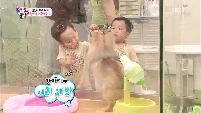 [슈퍼맨이돌아왔다] 서언이가 한없이 관대해지는 존재들ㅋㅋㅋ.JPG | 인스티즈