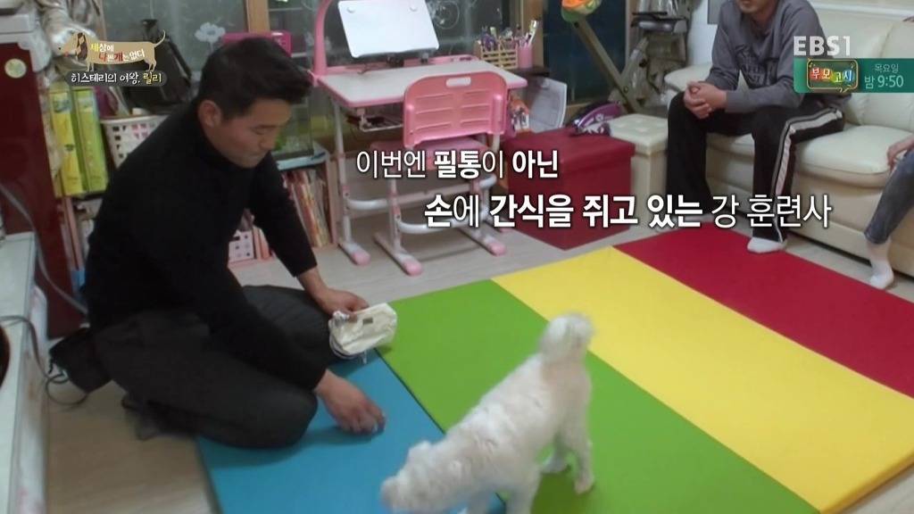 [세상에나쁜개는없다] 가족들에게 짖고 무는 강아지 릴리&#54671; | 인스티즈