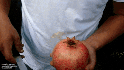 석류 맛있게 썰어먹는방법.gif | 인스티즈
