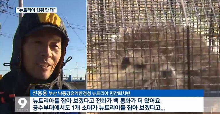 생태교란종 뉴트리아에서 웅담 성분이 나왔다는 발표 이후 | 인스티즈