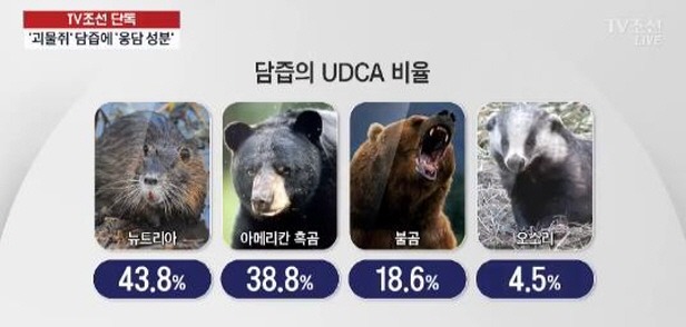 생태교란종 뉴트리아에서 웅담 성분이 나왔다는 발표 이후 | 인스티즈