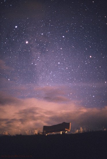 초등학생이 쓴 시 | 인스티즈