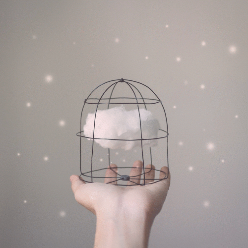  내 손안의 우주 | 인스티즈