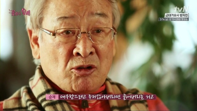 [꽃보다할배] 81살 이순재가 스페인 숙소를 1번에 찾을수 있었던 이유.jpg (feat.이서진이가 없써...) | 인스티즈