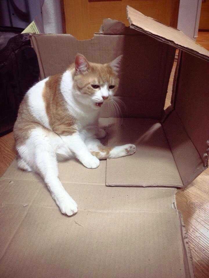 채팅앱에 빠진 여고생들 | 인스티즈