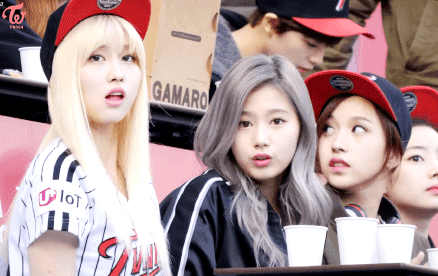 미나,사나,모모.gif | 인스티즈