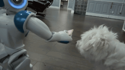 강아지 먹이주는 가정용 로봇.gif | 인스티즈