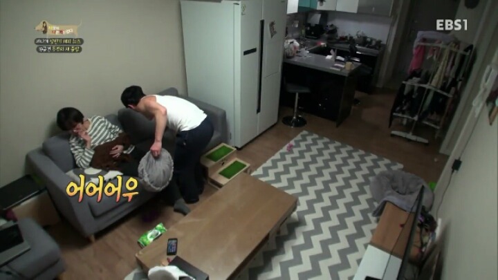 [세나개] 시도때도 없이 마운팅하고 똥을 먹는 두부의 문제 행동 고치기 -1.jpg | 인스티즈