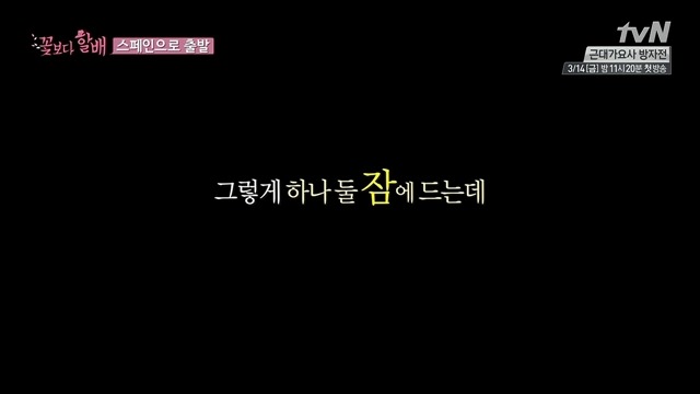 [꽃보다할배] 81살 이순재가 스페인 숙소를 1번에 찾을수 있었던 이유.jpg (feat.이서진이가 없써...) | 인스티즈