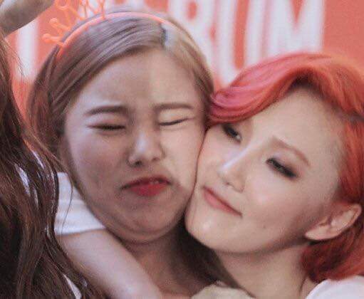 마마무스럽다 | 인스티즈