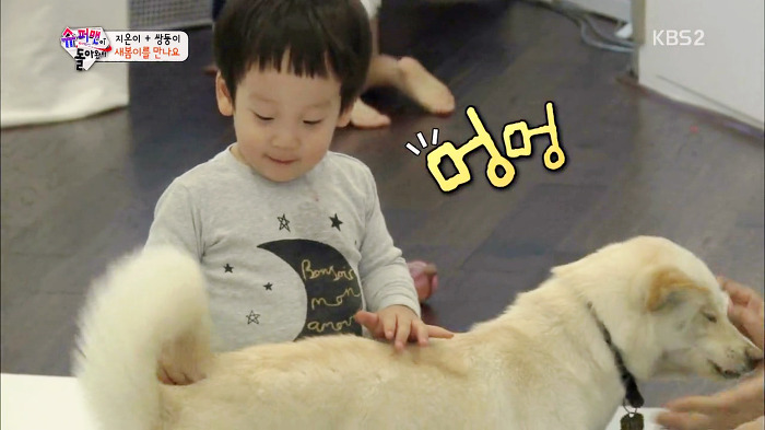 [슈퍼맨이돌아왔다] 서언이가 한없이 관대해지는 존재들ㅋㅋㅋ.JPG | 인스티즈