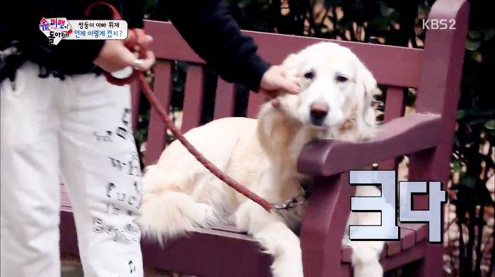 [슈퍼맨이돌아왔다] 서언이가 한없이 관대해지는 존재들ㅋㅋㅋ.JPG | 인스티즈