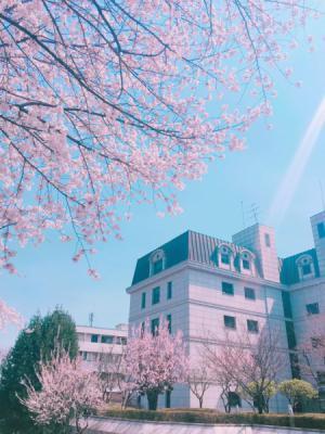 공감100%꼭있는 프사유형 | 인스티즈