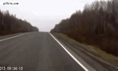 불곰국 교통사고.gif | 인스티즈