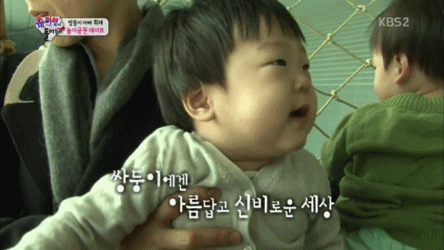 아빠닮고 엄마닮은 서언이 서준이 | 인스티즈