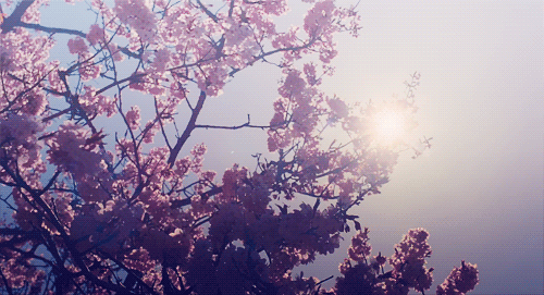 힘든 세상 살면서 마음 속에 하나 쯤 품어도 괜찮은 말들 | 인스티즈