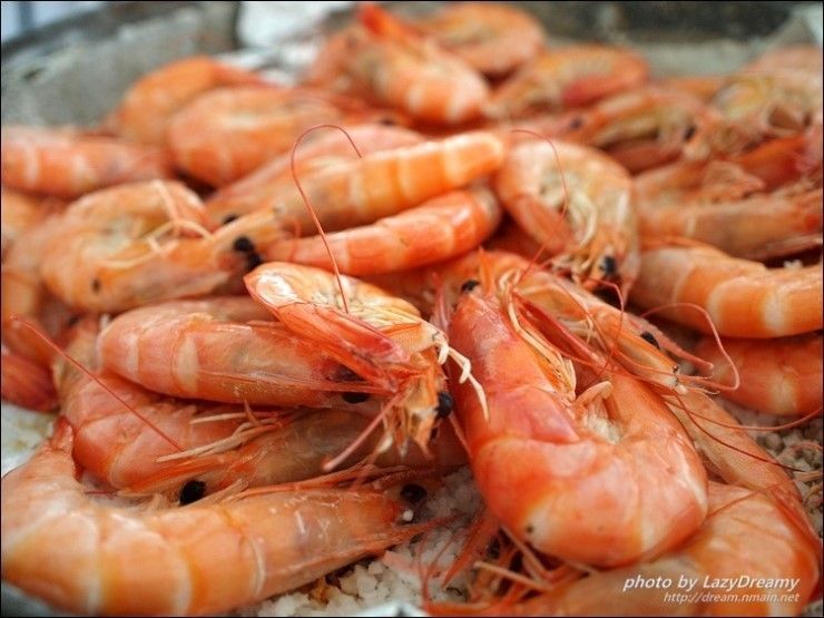 한국인은 잘 먹는데 다른 나라 사람들은 의외로 잘 안먹는 음식들 | 인스티즈