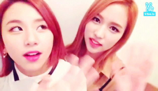 [트와이스] 강아지과 vs 고양이과 | 인스티즈