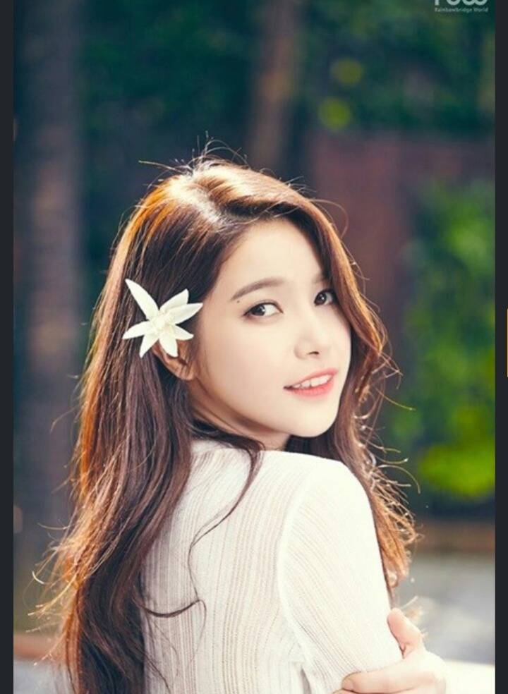 꼬부기상 여자연예인 | 인스티즈