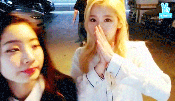 [트와이스] 강아지과 vs 고양이과 | 인스티즈