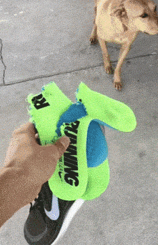 이거 어떤놈이 그랬니?.gif | 인스티즈