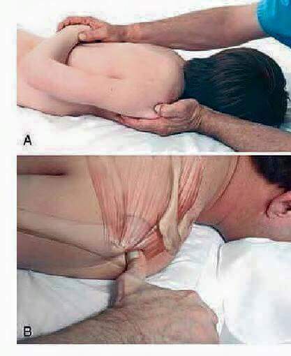 마사지 잘하기.jpg | 인스티즈