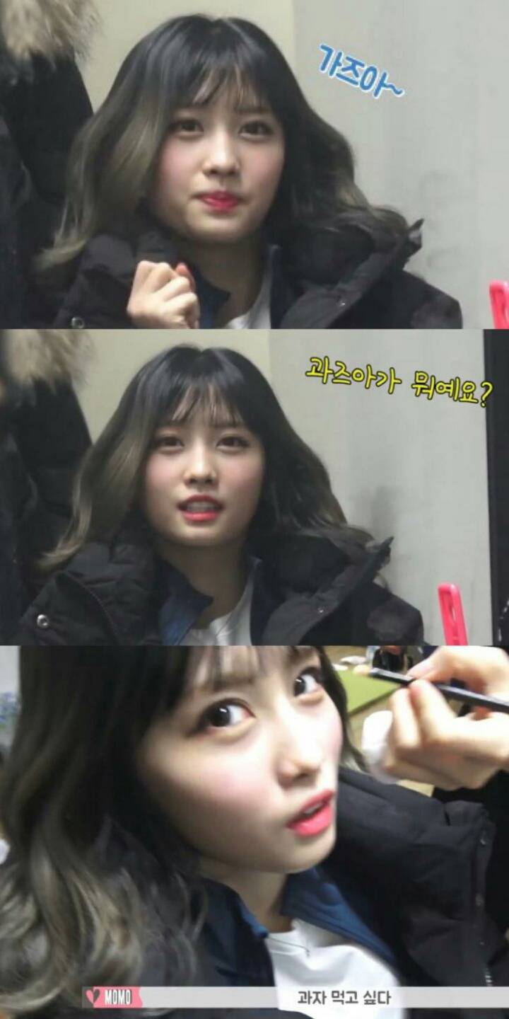 가즈아를 들은 모모링 | 인스티즈