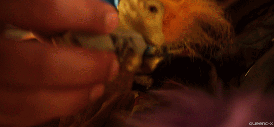 [마블주의] 이 시대의 참 아버지.gif | 인스티즈