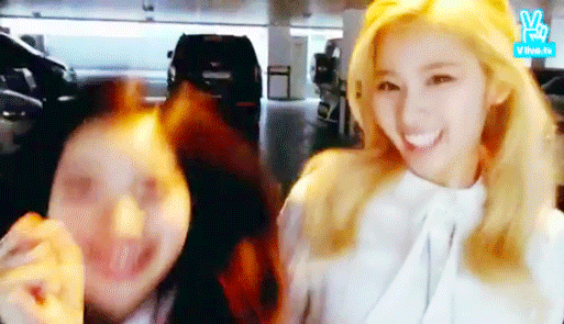 [트와이스] 강아지과 vs 고양이과 | 인스티즈