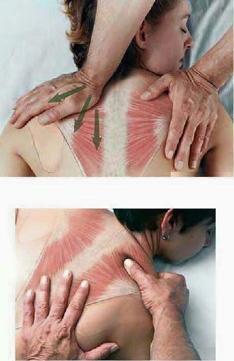 마사지 잘하기.jpg | 인스티즈