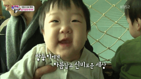 아빠닮고 엄마닮은 서언이 서준이 | 인스티즈