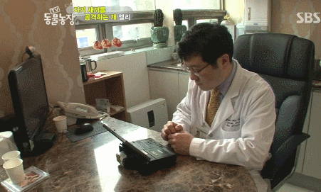 우리엄마 우리하테 왜이래오...(멍무룩) (동물농장 사모예드엄마+아가들) | 인스티즈