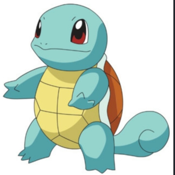 꼬부기상 여자연예인 | 인스티즈