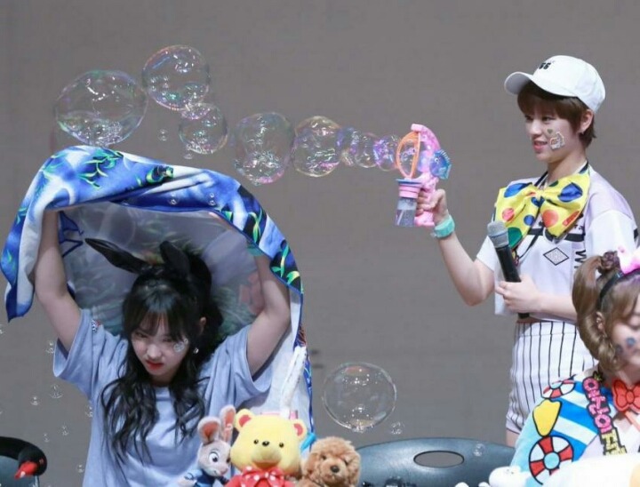 맨날 싸우는 트와이스 멤버 | 인스티즈